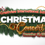 Christmas banner website 16