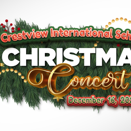 Christmas banner website 16