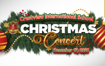 Christmas banner website17